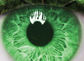 ojo